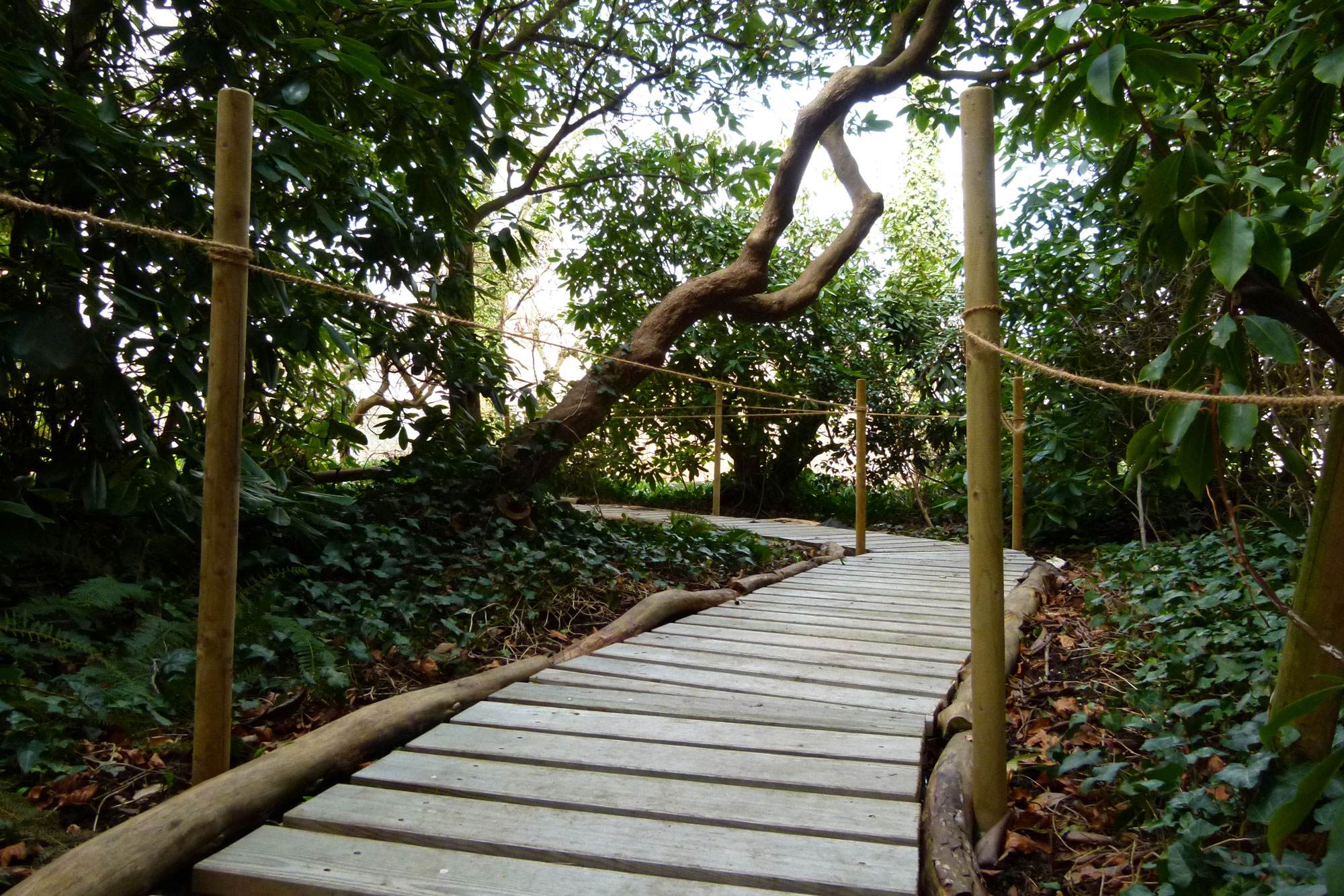 Den Garten unterstützen