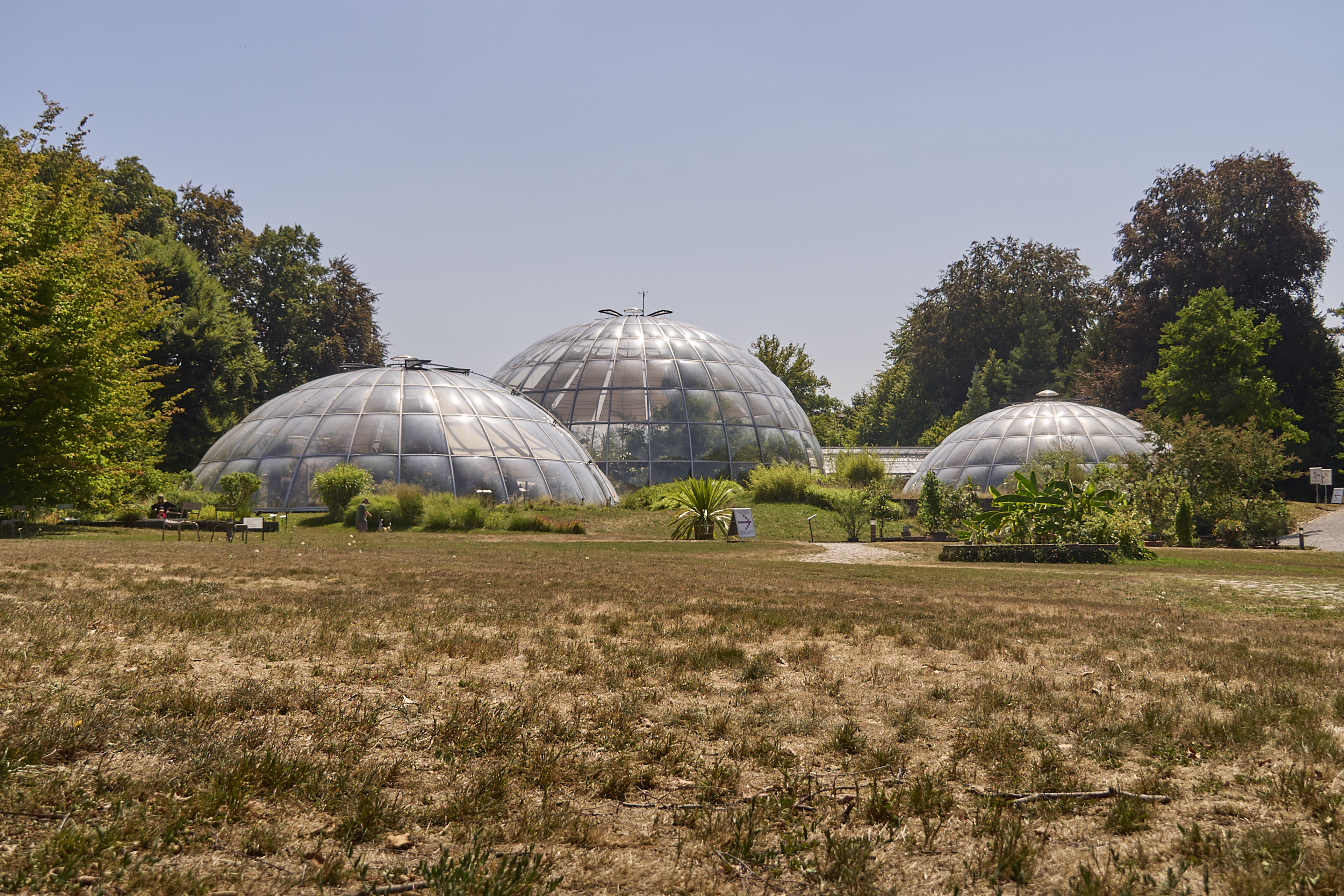Welcome! | Botanical Garden | UZH