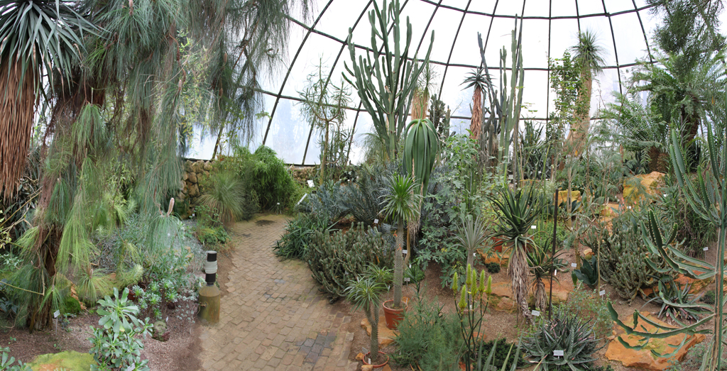 UZH - Botanischer Garten - Savannenhaus Panorama 1